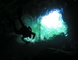 Exiting a cenote in Quinta Roo Mexico by Stuart Zlotnik 